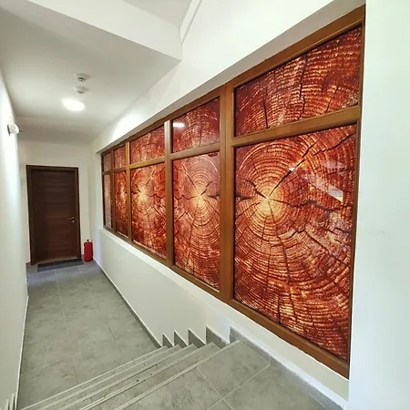 Queen 1000 Apartament Zlatibor