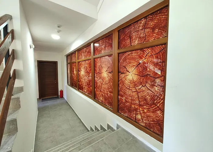 Queen 1000 Apartman Zlatibor