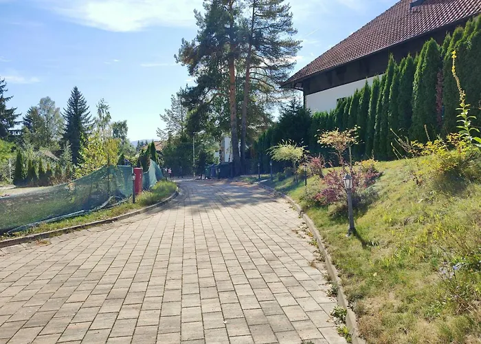 Apartman Queen 1000 Zlatibor